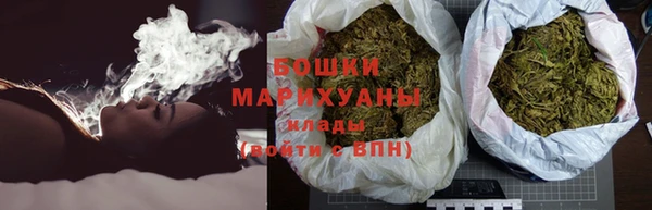 индика Пересвет