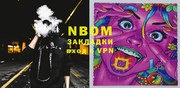 индика Пересвет