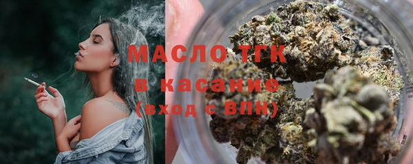 индика Пересвет