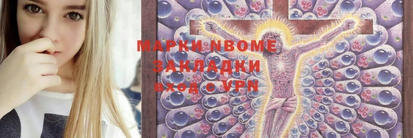 индика Пересвет