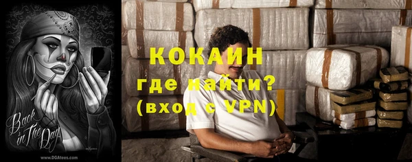индика Пересвет