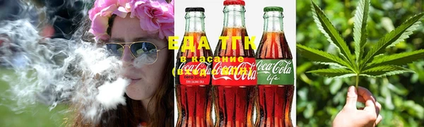 индика Пересвет