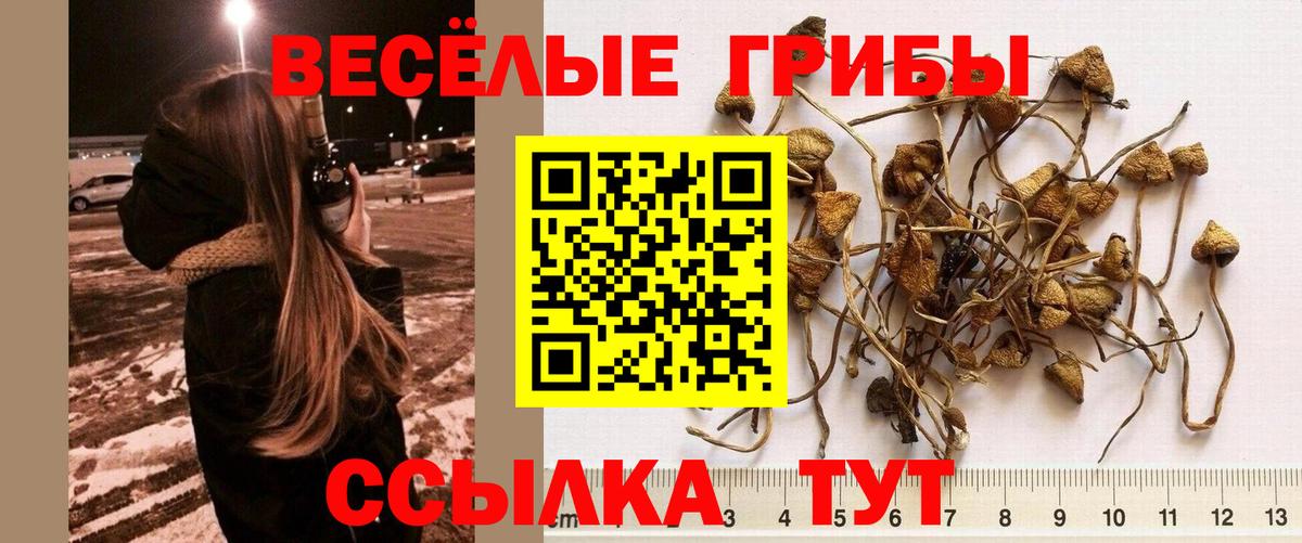 Псилоцибиновые грибы ЛСД  дарнет шоп  Лангепас  Вход с VPN  Галлюциногенные грибы Cubensis 